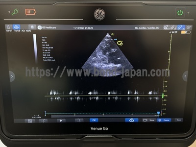 超音波診断装置 | GEヘルスケア・ジャパン株式会社 | Venue Goの写真