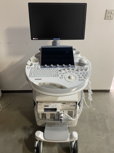 4D Ultrasound|GE|Voluson E10 BT19