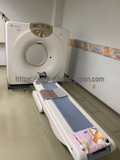 CT&nbsp;|&nbsp;GE&nbsp;|&nbsp;ProSpeed II