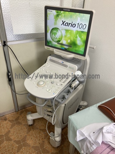 |CANON|TUS-X100S  Xario 100S