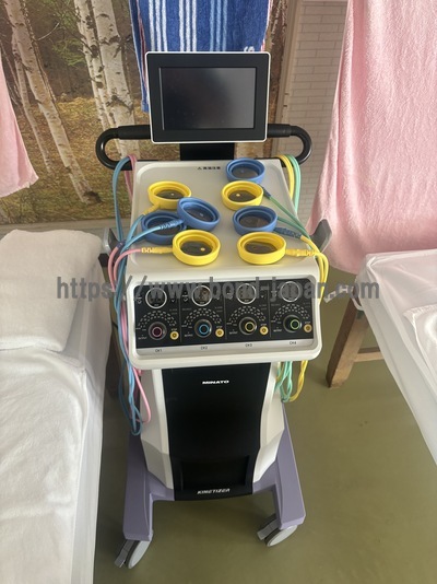干渉波治療器（カイネタイザー）|ミナト医科学株式会社|KT-104の写真