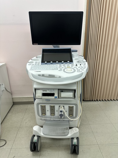 4D Ultrasound|GE|Voluson E8 BT18
