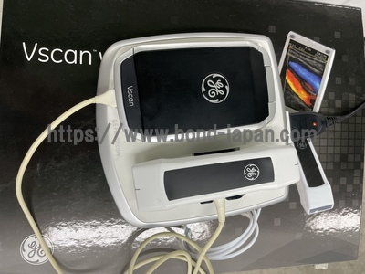 超音波診断装置/カラードプラ&nbsp;|&nbsp;GEヘルスケア・ジャパン株式会社&nbsp;|&nbsp;Vscan Dual Probeの写真