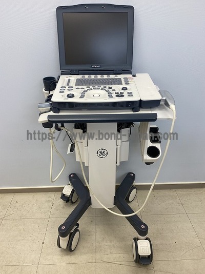 超音波診断装置/カラードプラ&nbsp;|&nbsp;GEヘルスケア・ジャパン株式会社&nbsp;|&nbsp;LOGIQ e V2の写真
