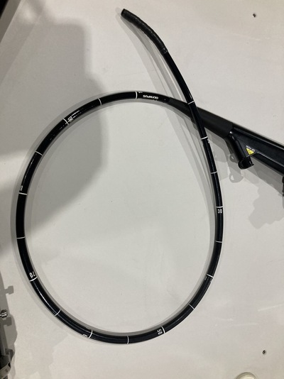 Video Gastroscope&nbsp;|&nbsp;OLYMPUS&nbsp;|&nbsp;GIF-H290