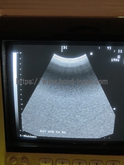 B/W System&nbsp;|&nbsp;ALOKA&nbsp;|&nbsp;SSD-900