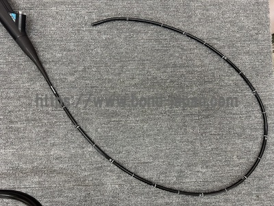 Video Gastroscope&nbsp;|&nbsp;OLYMPUS&nbsp;|&nbsp;GIF-H190N