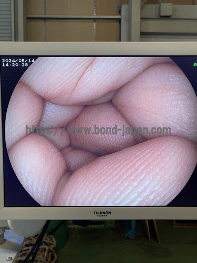 &nbsp;|&nbsp;FUJIFILM&nbsp;|&nbsp;FTS4400