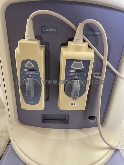 BW System&nbsp;|&nbsp;ALOKA&nbsp;|&nbsp;Prosound 6