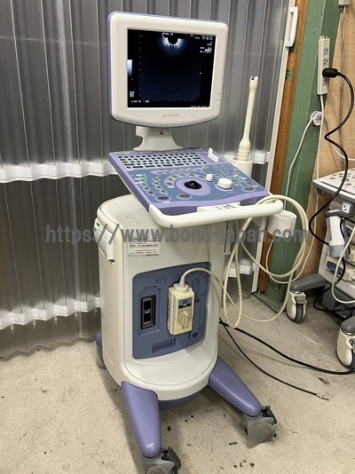 BW System&nbsp;|&nbsp;ALOKA&nbsp;|&nbsp;Prosound 6