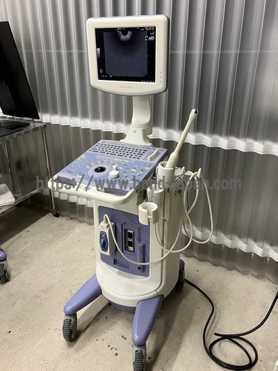 BW System&nbsp;|&nbsp;ALOKA&nbsp;|&nbsp;Prosound 6