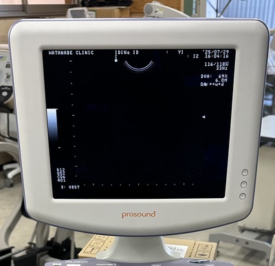 BW System&nbsp;|&nbsp;ALOKA&nbsp;|&nbsp;Prosound 6