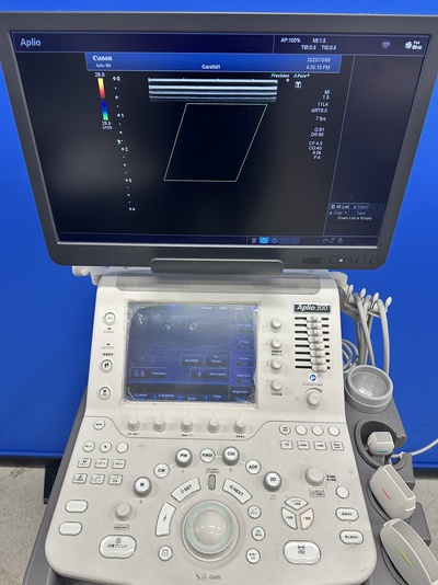 Color Doppler&nbsp;|&nbsp;CANON&nbsp;|&nbsp;Aplio 300