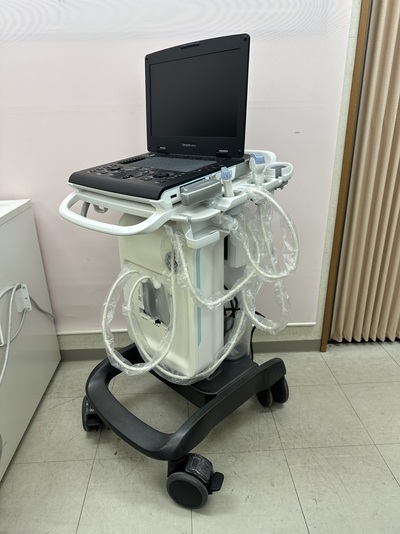 Portable Color doppler&nbsp;|&nbsp;GE&nbsp;|&nbsp;Versana Active