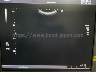 Color Doppler&nbsp;|&nbsp;CANON&nbsp;|&nbsp;SSA-660A Xario