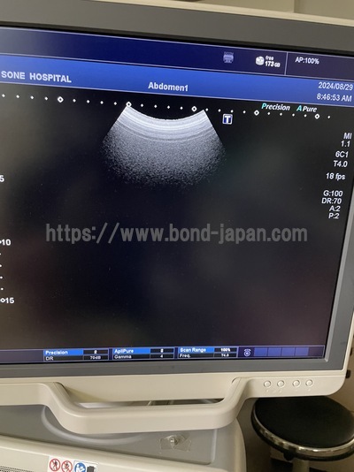 &nbsp;|&nbsp;CANON&nbsp;|&nbsp;TUS-X100S  Xario 100S