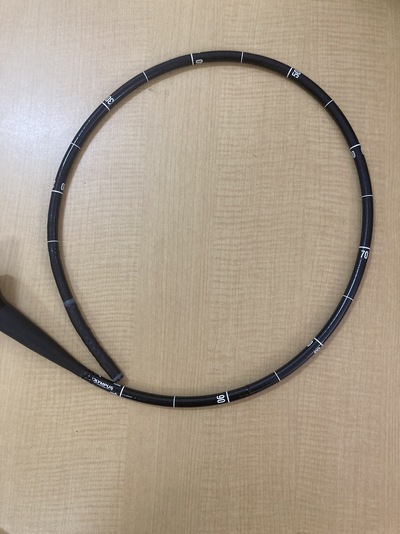 Video Gastroscope&nbsp;|&nbsp;OLYMPUS&nbsp;|&nbsp;GIF-HQ290