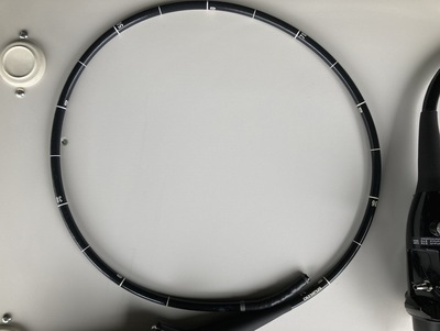 Video Gastroscope&nbsp;|&nbsp;OLYMPUS&nbsp;|&nbsp;GIF-H290