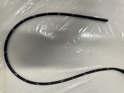 Video Gastroscope&nbsp;|&nbsp;OLYMPUS&nbsp;|&nbsp;GIF-H290