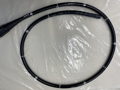 Colonoscope&nbsp;|&nbsp;OLYMPUS&nbsp;|&nbsp;CF-HQ290ZI