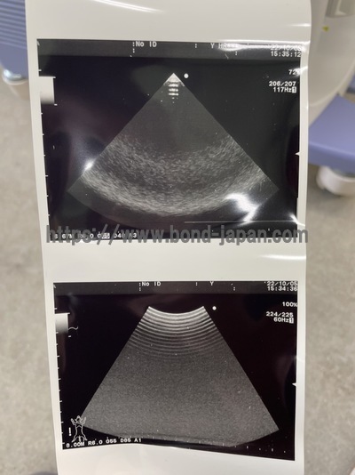 【動物病院仕様】超音波診断装置&nbsp;|&nbsp;日立アロカメディカル株式会社&nbsp;|&nbsp;Prosound α6の写真