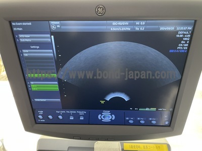 Ultrasound&nbsp;|&nbsp;GE&nbsp;|&nbsp;Voluson P8 BT18