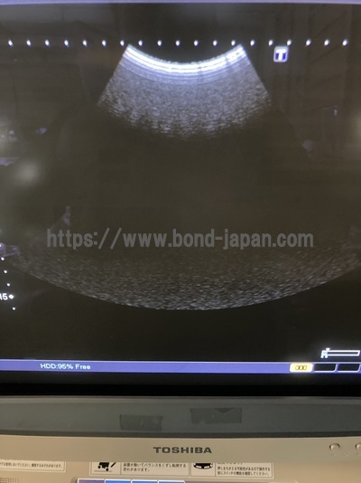 Color Doppler&nbsp;|&nbsp;CANON&nbsp;|&nbsp;SSA-660A Xario