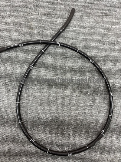 Video Gastroscope&nbsp;|&nbsp;OLYMPUS&nbsp;|&nbsp;GIF-H290