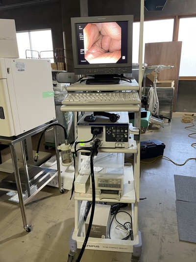 Endoscopy System&nbsp;|&nbsp;OLYMPUS&nbsp;|&nbsp;CV-170 Optera