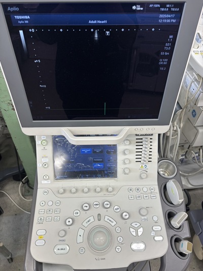 Color Doppler&nbsp;|&nbsp;CANON&nbsp;|&nbsp;Aplio 300