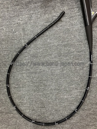 Video Gastroscope&nbsp;|&nbsp;OLYMPUS&nbsp;|&nbsp;GIF-H260