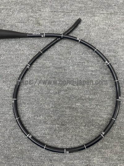 Video Gastroscope&nbsp;|&nbsp;OLYMPUS&nbsp;|&nbsp;GIF-H260