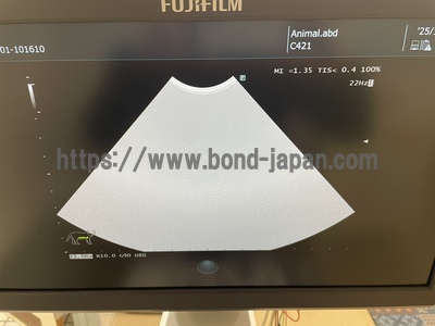 動物向け超音波画像診断装置&nbsp;|&nbsp;富士フイルムメディカル&nbsp;|&nbsp;ARIETTA 50の写真