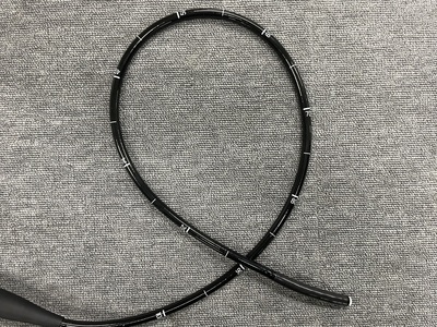 Gastroscope&nbsp;|&nbsp;FUJIFILM&nbsp;|&nbsp;EG-590ZW2