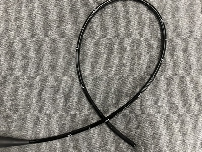 Video Gastroscope&nbsp;|&nbsp;FUJIFILM&nbsp;|&nbsp;EG-L600ZW