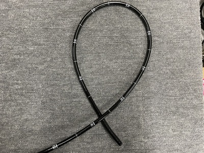 Video Gastroscope&nbsp;|&nbsp;FUJIFILM&nbsp;|&nbsp;EG-L600ZW