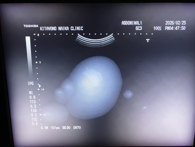 B/W System&nbsp;|&nbsp;CANON&nbsp;|&nbsp;SSA-530A Famio 8