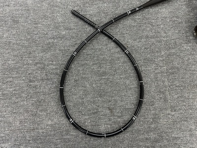 Video Gastroscope&nbsp;|&nbsp;OLYMPUS&nbsp;|&nbsp;GIF-H260