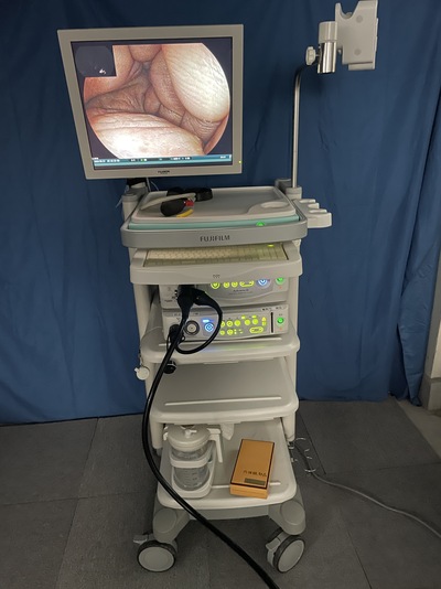 Endoscopy Sytem&nbsp;|&nbsp;FUJIFILM&nbsp;|&nbsp;EPX-4450
