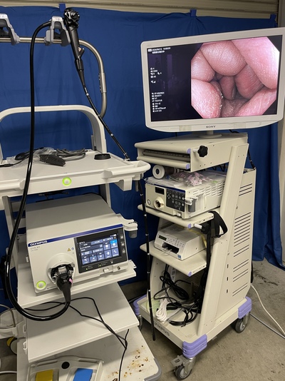 Endoscopy System&nbsp;|&nbsp;OLYMPUS&nbsp;|&nbsp;EVIS X1 CV-1500