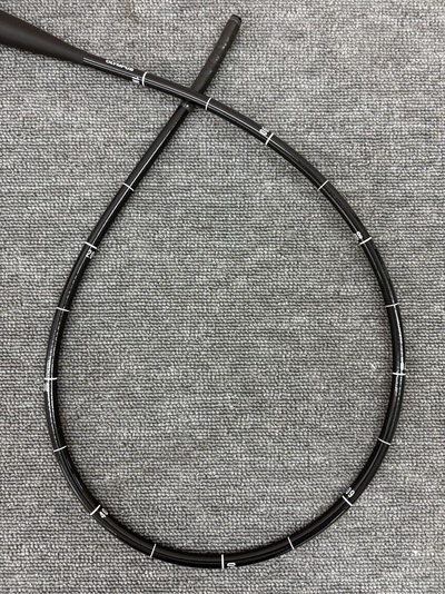 Video Gastroscope&nbsp;|&nbsp;OLYMPUS&nbsp;|&nbsp;GIF-H290