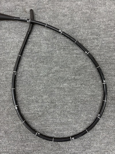 Video Gastroscope&nbsp;|&nbsp;OLYMPUS&nbsp;|&nbsp;GIF-H290