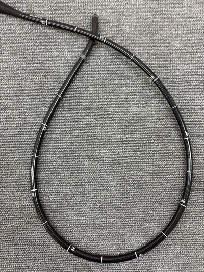 Video Gastroscope&nbsp;|&nbsp;OLYMPUS&nbsp;|&nbsp;GIF-H290