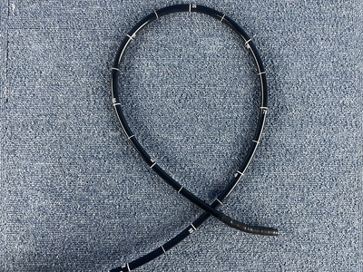 Video Gastroscope&nbsp;|&nbsp;OLYMPUS&nbsp;|&nbsp;GIF-H290Z