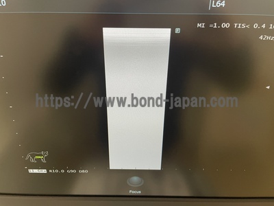 動物向け超音波画像診断装置&nbsp;|&nbsp;富士フイルムメディカル&nbsp;|&nbsp;ARIETTA 50の写真