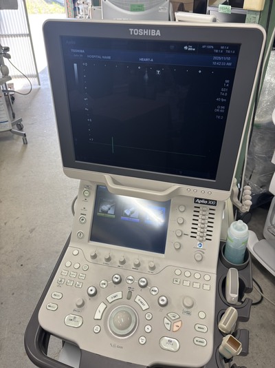 Color Doppler&nbsp;|&nbsp;CANON&nbsp;|&nbsp;Aplio 300