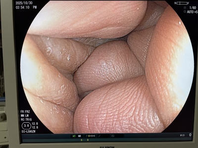 &nbsp;|&nbsp;FUJIFILM&nbsp;|&nbsp;EC-L590ZW