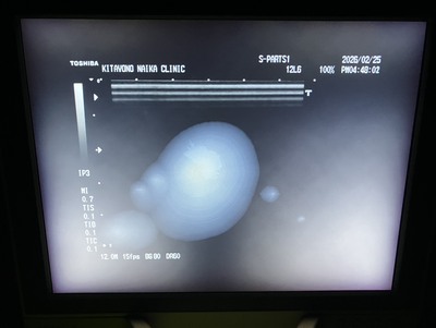 B/W System&nbsp;|&nbsp;CANON&nbsp;|&nbsp;SSA-530A Famio 8