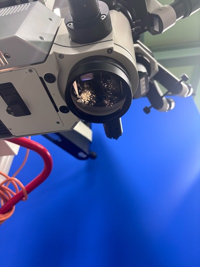 Ophthalmic Surgical Microscope&nbsp;|&nbsp;Leica&nbsp;|&nbsp;M822 F20