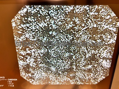 Video Colonoscope&nbsp;|&nbsp;OLYMPUS&nbsp;|&nbsp;PCF-Q260AZI